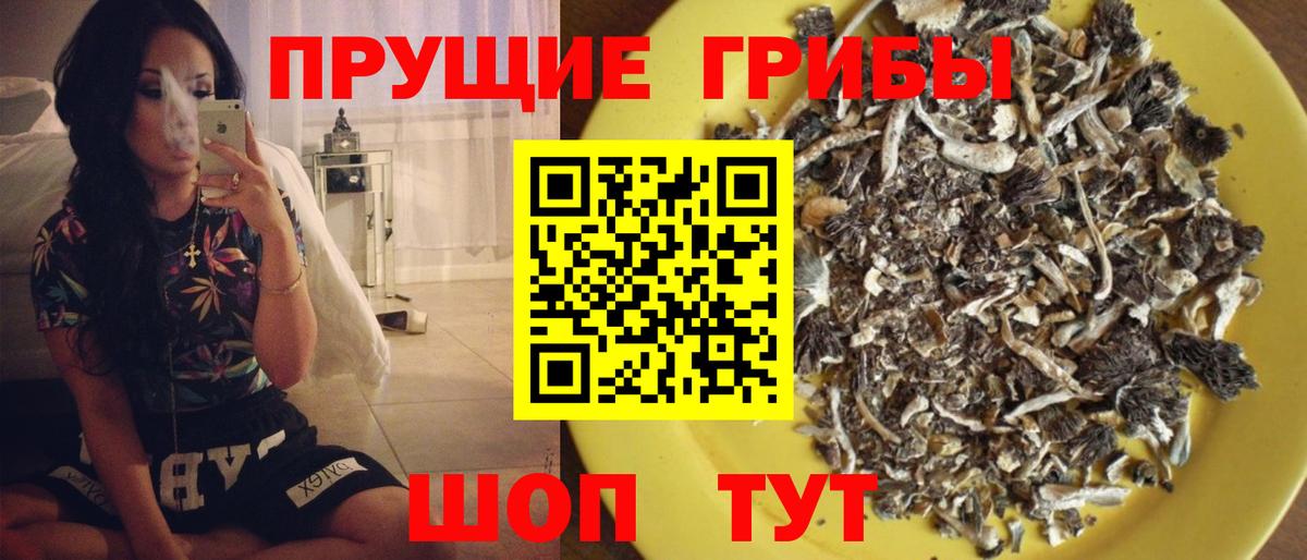 Псилоцибиновые грибы ЛСД  Псилоцибиновые грибы мухоморы  Избербаш  Вход с VPN 