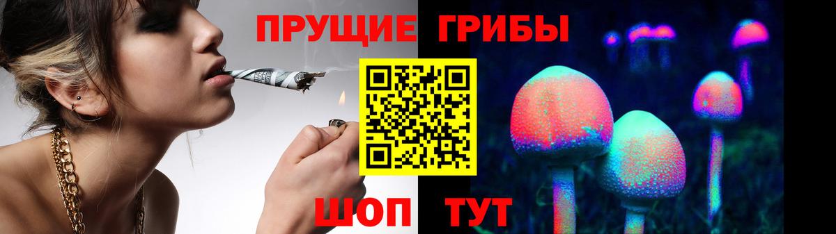 Галлюциногенные грибы Cubensis Избербаш